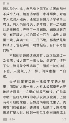 菲律宾黑名单消除攻略 华商详解